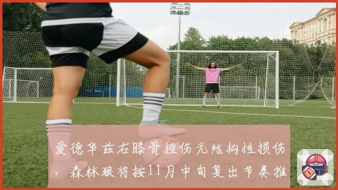 爱德华兹右膝骨挫伤无结构性损伤，森林狼将按11月中旬复出节奏推进
