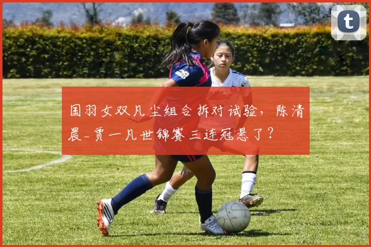 国羽女双凡尘组合拆对试验,陈清晨_贾一凡世锦赛三连冠悬了?