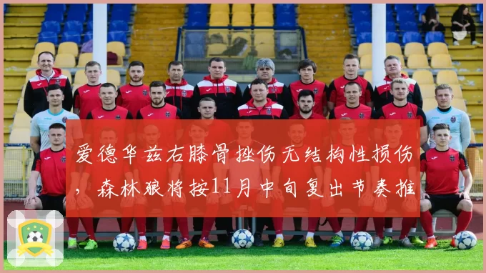 爱德华兹右膝骨挫伤无结构性损伤,森林狼将按11月中旬复出节奏推进
