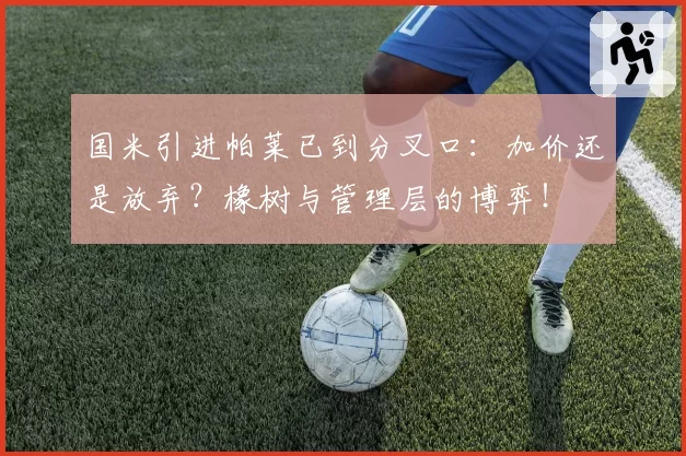 国米引进帕莱已到分叉口：加价还是放弃？橡树与管理层的博弈！