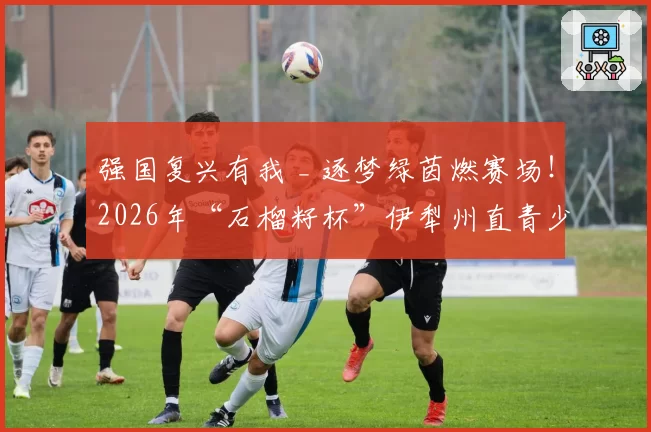 强国复兴有我 _ 逐梦绿茵燃赛场！2026年“石榴籽杯”伊犁州直青少年足球锦标赛男足比赛圆满落幕